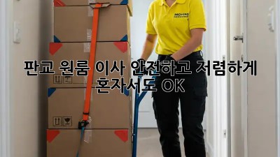 판교 원룸 이사, 안전하고 저렴하게! 혼자서도 OK! 💯
