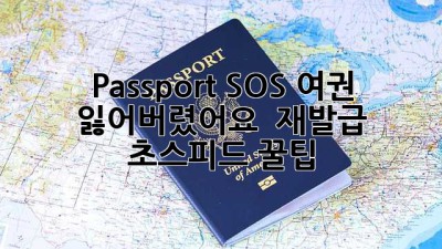 Passport SOS🚨 여권 잃어버렸어요? 😥 재발급 초스피드 꿀팁! 🚀