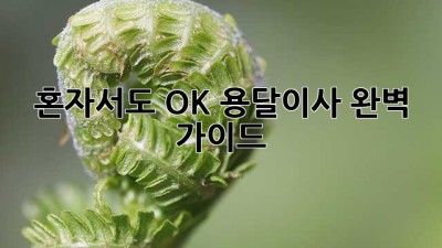 혼자서도 OK! 용달이사 완벽 가이드