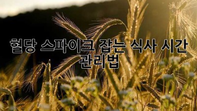 혈당 스파이크 잡는 식사 시간 관리법